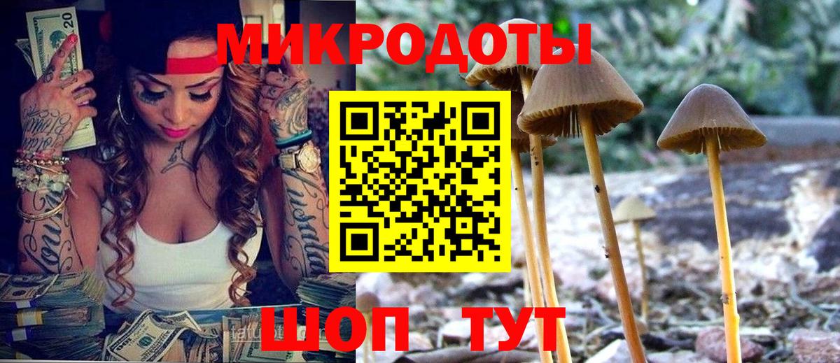 Псилоцибиновые грибы ЛСД Людиново